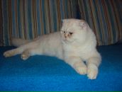 Фотография Баранова Александра