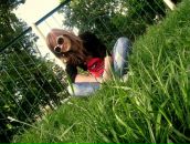 Ян4ік Таракан4іk фотография #49 (источник - https://vk.com/id87640932)