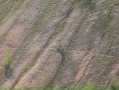 Фотография Платонова Сергея