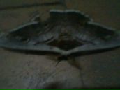 Ігор Самелюк фотография #2 (источник - https://vk.com/id136647657)