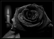 Фотография Сиговцев Сергей