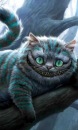 Фотография Cat Cheshire