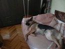 Аніка Селіна фотография #24 (источник - https://vk.com/id43182635)