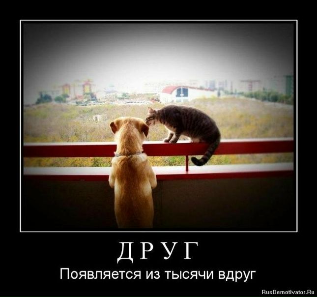 Вера Иванова фото №1