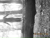 Діна Козодой фотография #6 (источник - https://vk.com/id97506169)