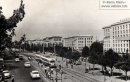 Сашуня Шустик фотография #6 (источник - https://vk.com/id15881839)
