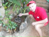 Фотография  