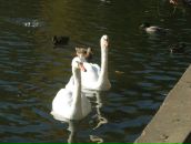 Фотография Зайцев Дмитрий