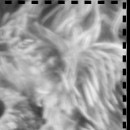 Юля Пічкар фотография #16 (источник - https://vk.com/id143598490)