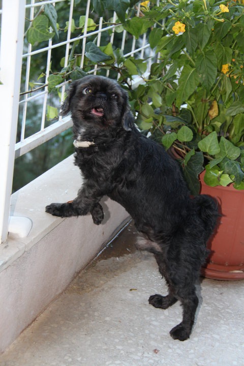 Ulia Simonidi фотография #8