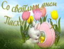Оля Мунтян фотография #31 (источник - https://vk.com/id13857852)