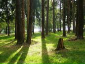 Фотография Юсовой Елены