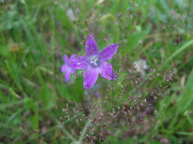 Илья Мец фото №49