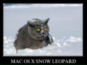 Макс Арт фотография #42 (источник - https://vk.com/id2012411)