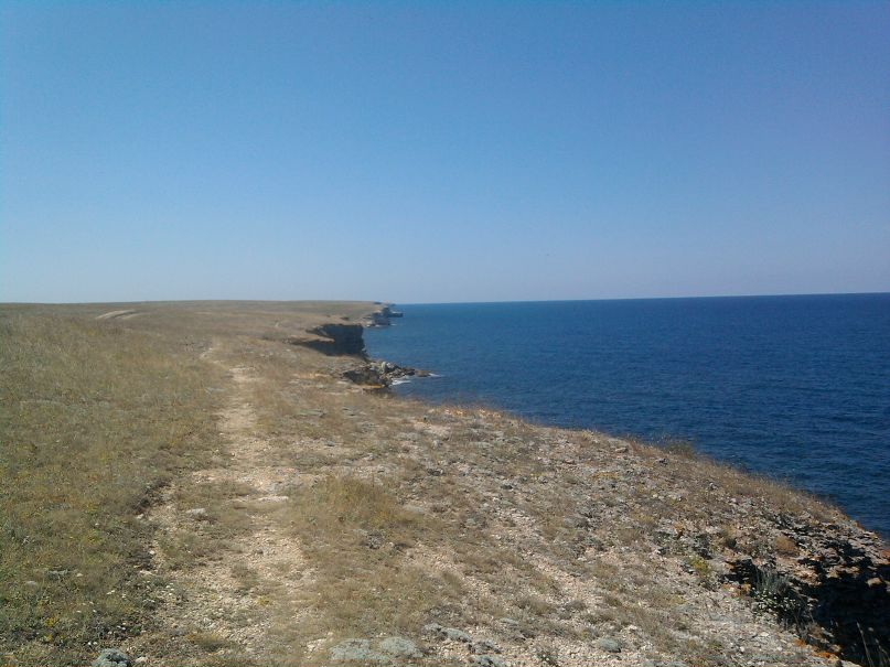 Ольга Мальцева фотография #23
