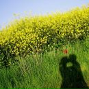 Фотография Чернова Сергея