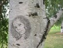 Олічка Терещенко фотография #20 (источник - https://vk.com/id78531173)