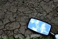 Фотография Шайдуллиной Хавы