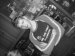  фотография #2