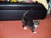 Антон Штанке фотография #48 (источник - https://vk.com/id937277)