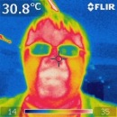 Фотография Чупракова Николая