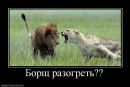 Фотография Удовиченко Натальи