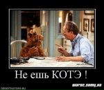 Софья Артюх фотография #34 (источник - https://vk.com/id462645)