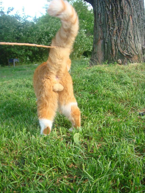 Антон Левин фотография #32