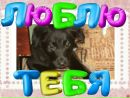 Іра Тетеріна фотография #13 (источник - https://vk.com/id179771191)