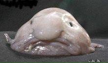 Фотография Молонова Алексея