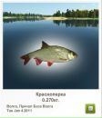 Максім Гончар фотография #45 (источник - https://vk.com/id48824433)