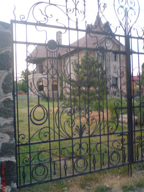 Элла Стаценко фотография #25