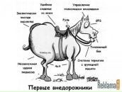 Фотография Арефьевой Анастасии