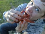 Фотография Гаврилова Максима