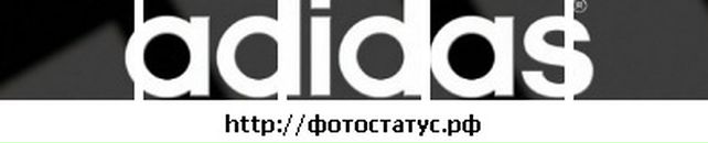 Андрей Трыков фотография #28 (источник - https://vk.com/id101422401)