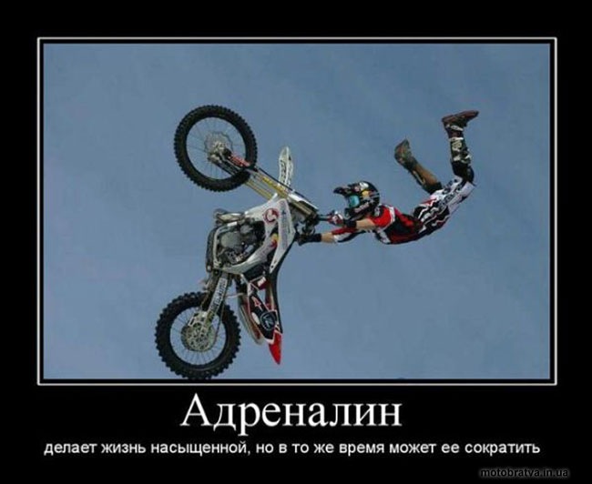 Viktor Ivanov фотография #24