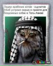 Андрій Радзевич фотография #2 (источник - https://vk.com/id134517275)