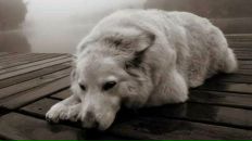 Фотография Хакимова Руслана