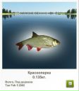 Вадім Кушиль фотография #4 (источник - https://vk.com/id63545127)
