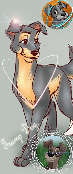 Tramp Dog фотография #2