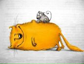 Фотография Курячева Алексея