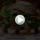Віталя Осадчук фотография #25 (источник - https://vk.com/id158320231)