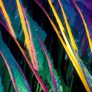 Фотография Шульги Димы