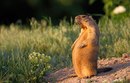 Лаврентій Пипка фотография #4 (источник - https://vk.com/id164350791)