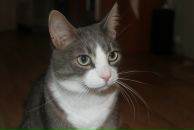 Фотография Андреевой Татьяны