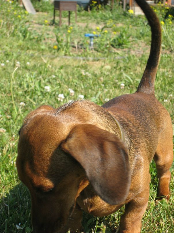 Viktoria Saveleva фотография #27