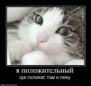 Фотография Алексей Жилин