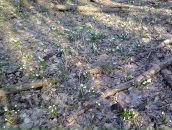 Богдан Вірт фотография #14 (источник - https://vk.com/id99517468)