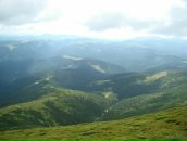 Світлана Сенів фотография #21 (источник - https://vk.com/id60197450)