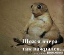 Ігор Дeнисюк фотография #30 (источник - https://vk.com/id139378860)